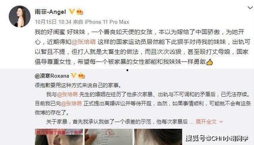 何小姐被爆料视频大全最新,揭秘网络爆料背后的真相与争议 第2张 何小姐被爆料视频大全最新,揭秘网络爆料背后的真相与争议 第2张