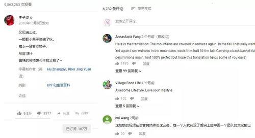 博主爆料齐柏林是谁啊视频,博主爆料背后的神秘人物  第3张